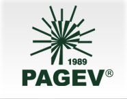 Pagev Logo