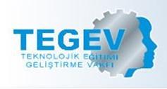 tegev.logo