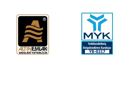 altin logo