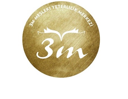 3m logo