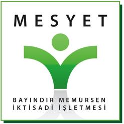 bayindir logo
