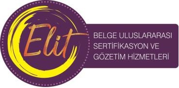 Dizyn logo