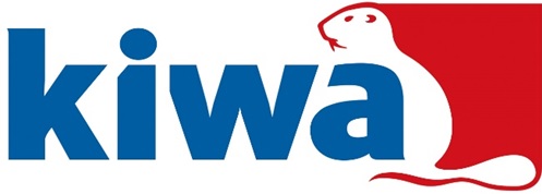 Dizyn logo