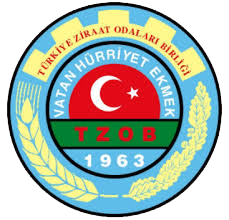 TZOB