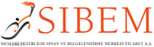logo sibem