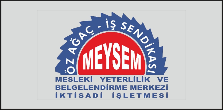 meysem logo-2