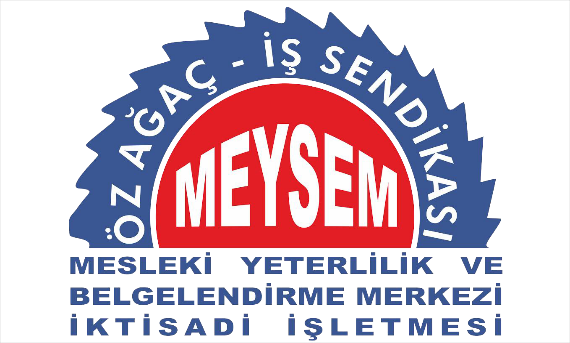 meysem logo -2017