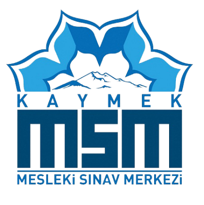 msm-logo