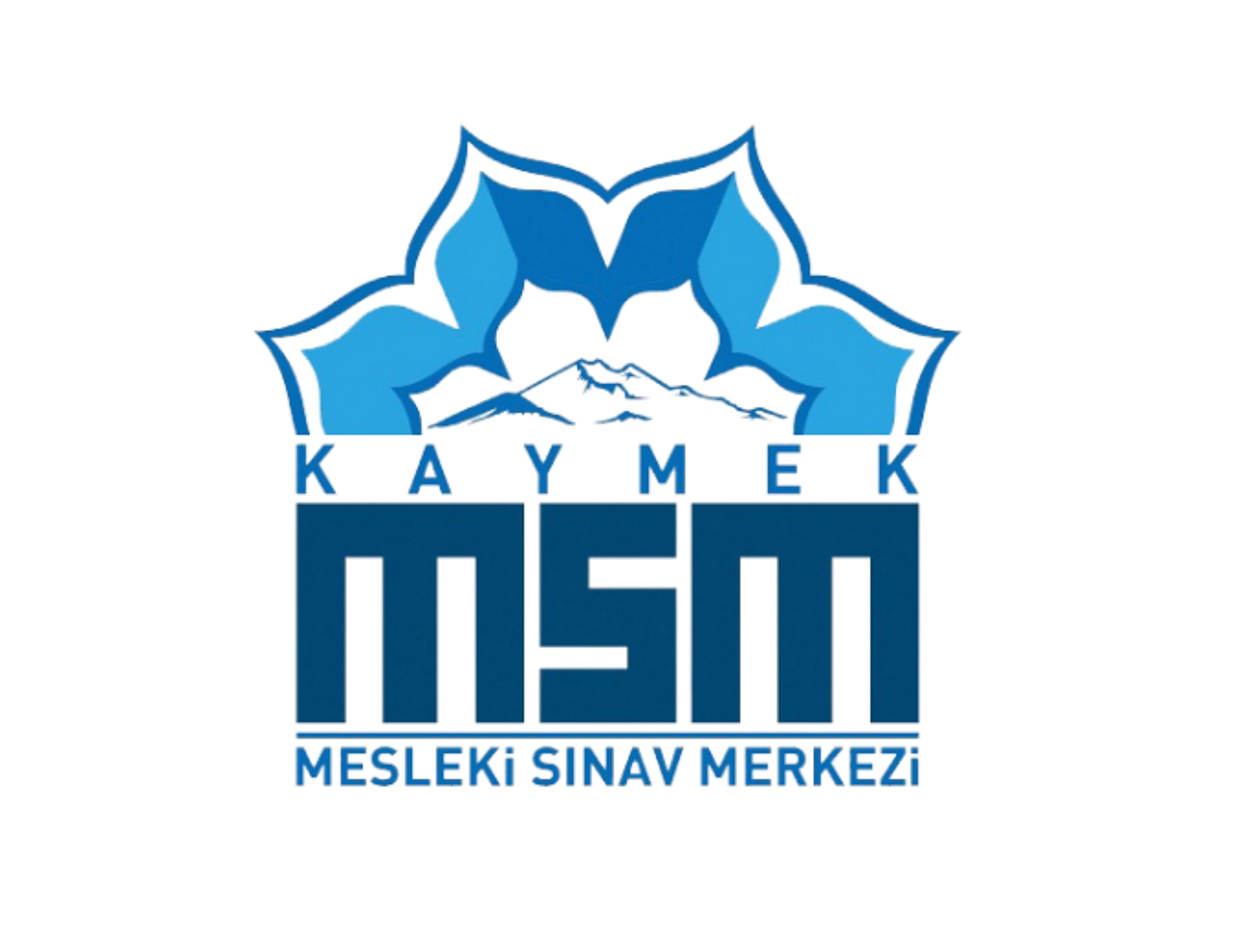 msm ekran
