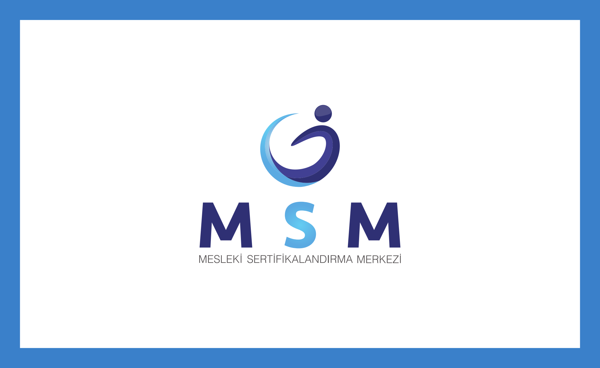 msm logo