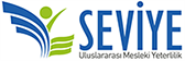 seviye logo