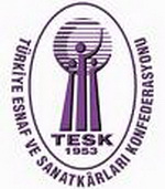 tesklogokck221209