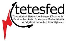 tetesfed logo